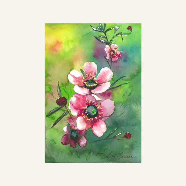 Pretty Pink Manuka native New Zealand Flower Greeting card.