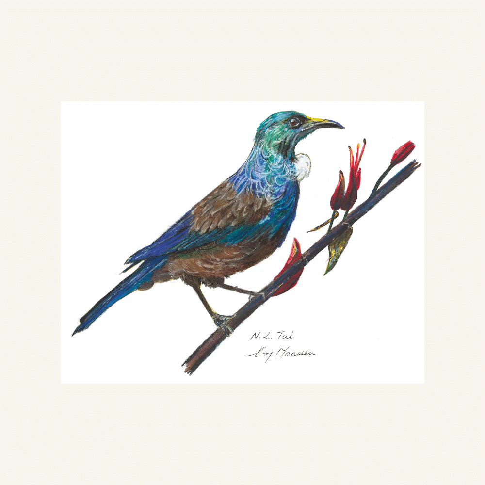 Native bird Tui greeting card.