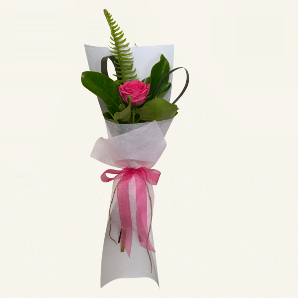 Gift wrapped single rose with fresh foliage.