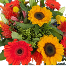 Florist choice Amber lee Florist 3
