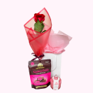 love-potion-no-9-red-rose-chocolates-candle-gift-bag-whangarei